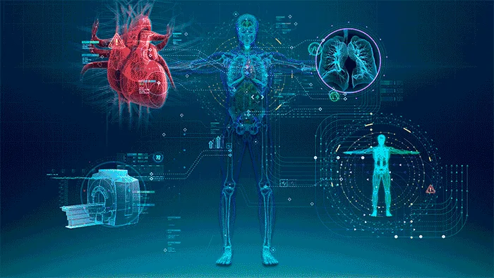 Digital illustration of a human body scan with the heart and lungs highlighted